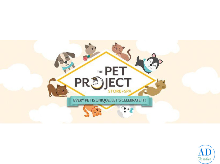 Everything Your Pet Loves, All in One Place