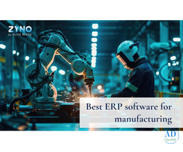 Best Manufacturing ERP Software in India – ZYNO by Elitemindz