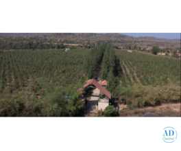 How to Choose the Right Agricultural Land Near Nagpur for Farming or Investment