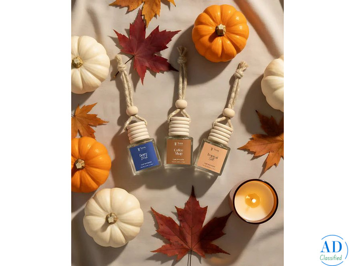 Best Eco-Friendly Car Perfume Diffusers | Long-Lasting Fragrance by Terra Reeds