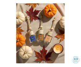 Best Eco-Friendly Car Perfume Diffusers | Long-Lasting Fragrance by Terra Reeds