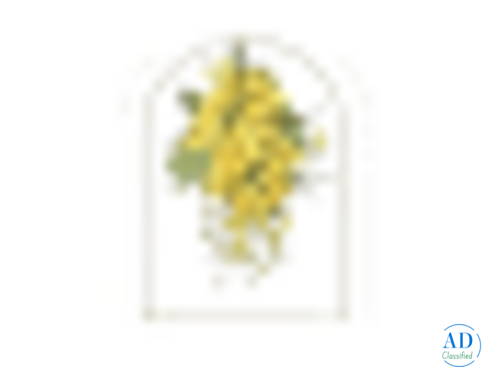 Resort with private pool in Jaipur-- Anopura