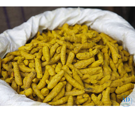 Turmeric Powder Bulk Supplier from India