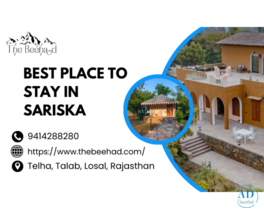 Best Luxury Stay for Sariska Travelers – The Beehad Resort