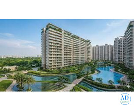 apartments in noida