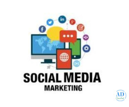 Social Media Marketing Agency in Gurgaon | Grow Your Brand Online