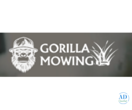lawn mowing services papakura--Gorilla Mowing