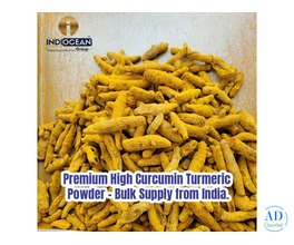 Best Turmeric Powder Bulk Supplier in Kharghar