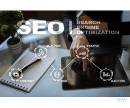 Professional SEO Agency Bangalore for Higher Google Rankings