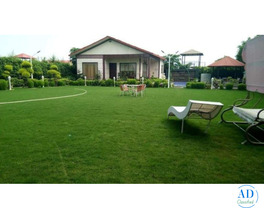 Why Are People Searching for Novel Farm House in Noida?