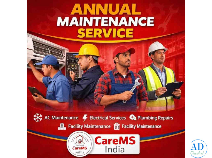 Annual Maintenance service