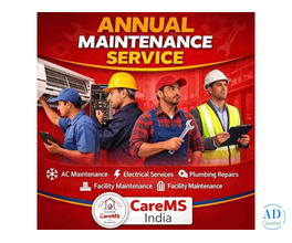 Annual Maintenance service