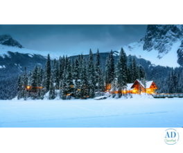 Why Luxury Homes Need a Seasonal Floor Care Plan