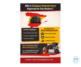 Why Is a Database Dedicated Server Important for Your Business?