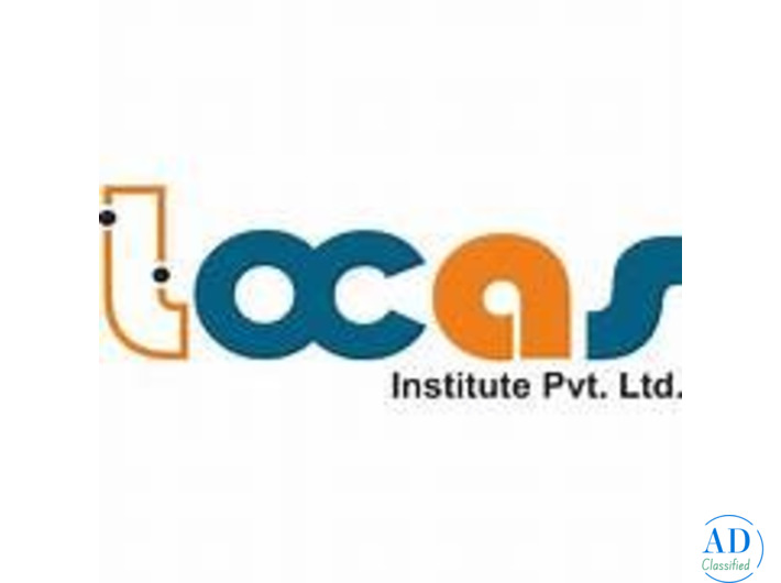 Best Digital Marketing institute in Ludhiana-Locas institute