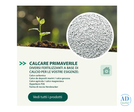 Agritura – Patate da Seme di Qualità e Calce per un Orto Sempre Fertile