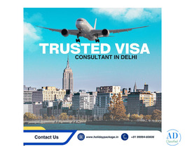 Visa Consultant in Delhi