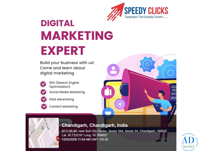 Speedy Clicks - Digital Marketing Company in Chandigarh