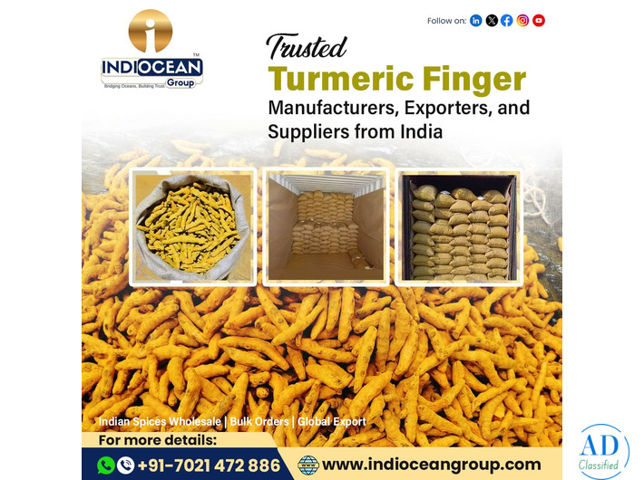 Best turmeric powder exporter in Navi Mumbai