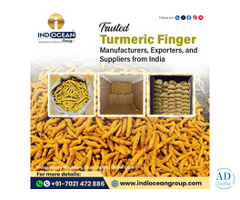 Best turmeric powder exporter in Navi Mumbai
