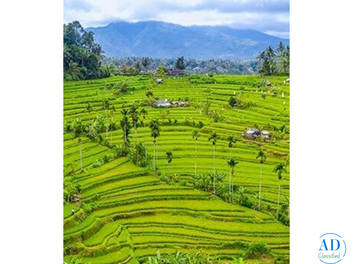 Pagerwesi in Bali – Start Your Journey Today