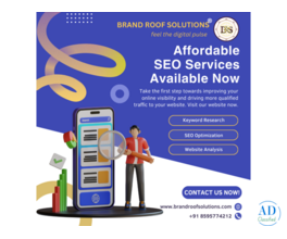 Top Website Designing and Digital Marketing Services Agency in Delhi | Brand Roof Solutions