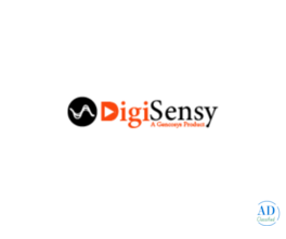 Digital Marketing Agency in Lucknow - Digisensy