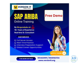 Leading SAP Ariba Training at Version IT in Hyderabad
