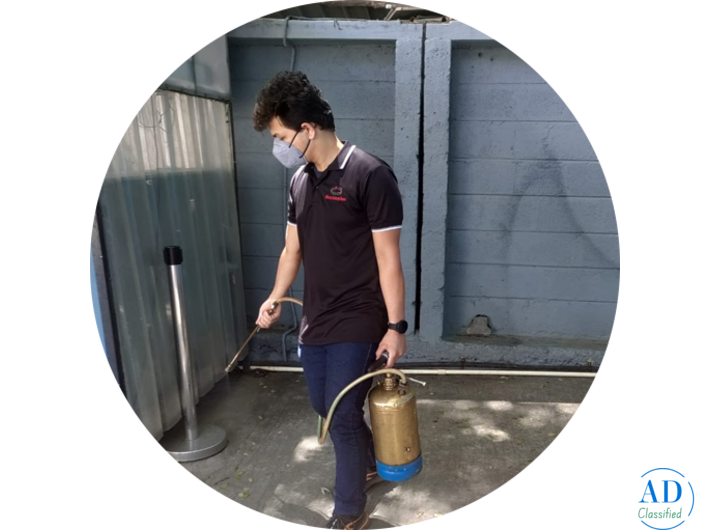 Pest Control Services in Bangalore | Safe & Effective Solutions