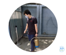 Pest Control Services in Bangalore | Safe & Effective Solutions