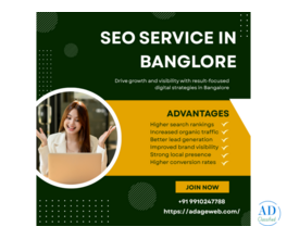 Professional SEO Services in Bangalore to Elevate Your Brand Online