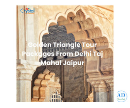 Jaipur Tour From Delhi Same Day Private Tour