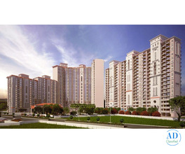 Premium Flats Available in Capital Athena Noida Extension