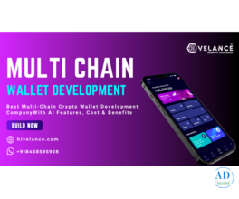 Multi-Chain Crypto Wallet Development Company - Hivelance