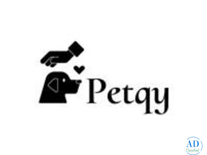 Who Keeps Your Dog Happiest Daily?