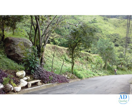 Massive Mountain Estate for sale. Salitral Santa Ana Costa Rica.