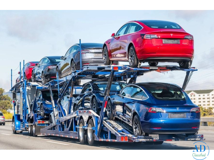 open auto car shipping services in south carolina