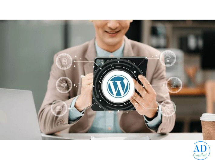 Website Design & Development in Goa