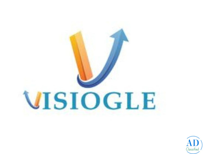 Meta Ads Agency India – Scale Your Facebook & Instagram Ads with Visiogle