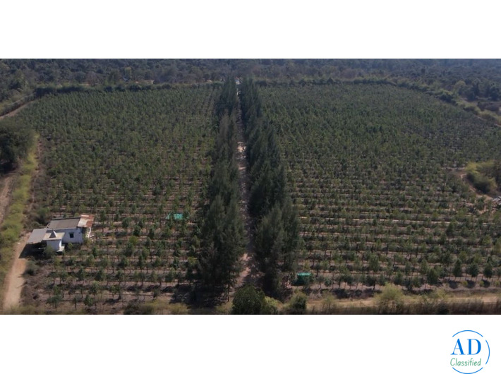 Common mistakes to avoid when buying agricultural land in Nagpur