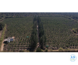 Common mistakes to avoid when buying agricultural land in Nagpur