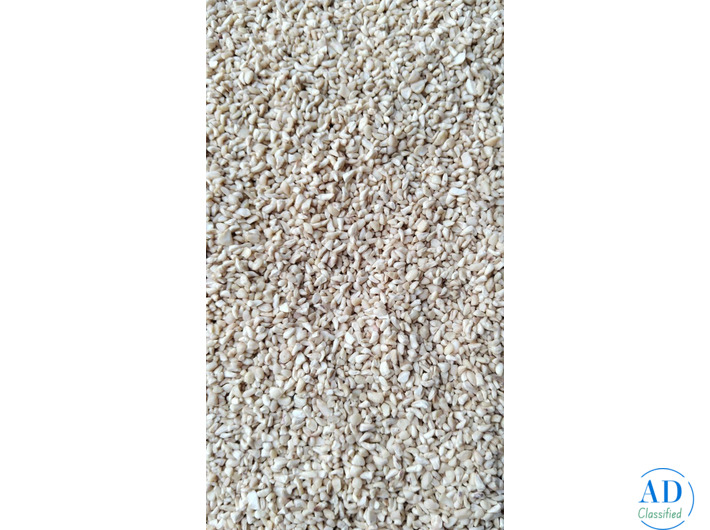 JAIPUR AGRA TOP CASHEW NUTS WHOLESALER IN  PRADI