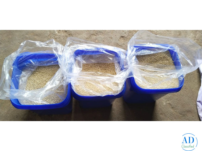 JAIPUR AGRA TOP CASHEW NUTS WHOLESALER IN  PRADI