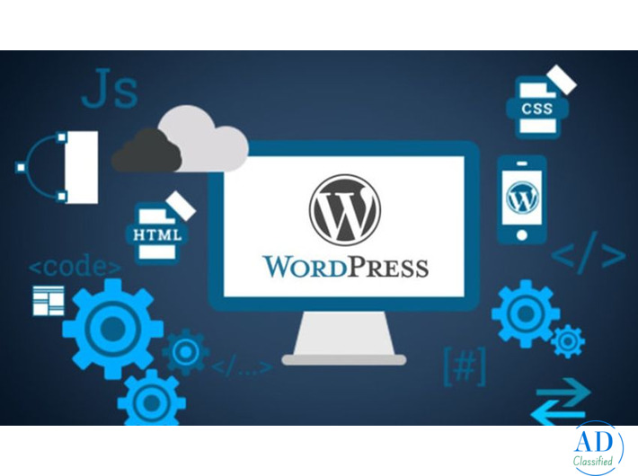 Mrs. Sushma Sain Empowering Businesses With Expert WordPress Development In Jaipur