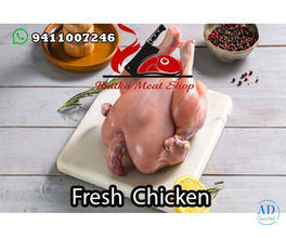 Fresh Chicken in DLF Ankur Vihar Legacy Jhatka Meat Shop