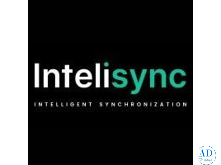 InteliSync Development Solutions Company for Blockchain, AI, and Web3