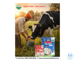 Best Cattle Feed in India for Healthy Dairy Growth