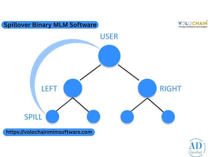 Enhance Your Team's Performance with Free Demo Tools for Spillover Software