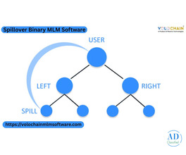 Enhance Your Team's Performance with Free Demo Tools for Spillover Software