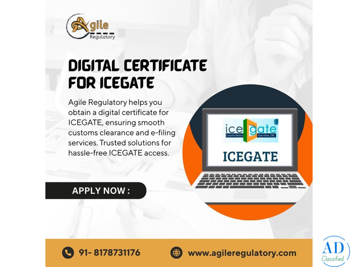 Apply for ICEGATE DSC Online – Trusted by Businesses